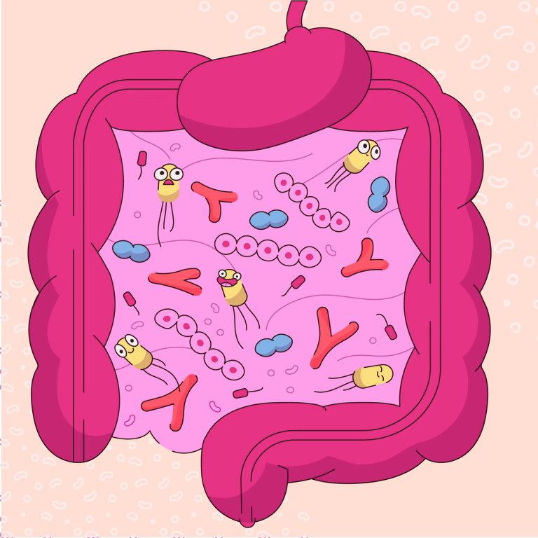 Gastrointestinal System